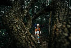 BIB: 
                            <button type="button" onclick="openModal(25678273)" class="btn btn-primary btn-sm float-right btn-popup" data-toggle="modal" data-target=".modal-high-quality">
                        <i class="fas fa-shopping-cart"></i> Add to Cart
                    </button>
                                            <button type="button" onclick="isThisMe(25678273, true)" class="btn btn-success btn-sm float-right btn-popup btn-isme hidden" data-toggle="tooltip" data-placement="bottom" title="นี่คือรูปของคุณใช่ไหม คลิกที่นี่เพื่อเอาเข้าอัลบั้ม">
                        <i class="fas fa-plus"></i> Add to album
                    </button>
                    <button type="button" onclick="isThisMe(25678273, false)" class="btn btn-warning btn-sm float-right btn-popup btn-isnotme hidden">
                        <i class="fas fa-ban"></i> Remove from album
                    </button>